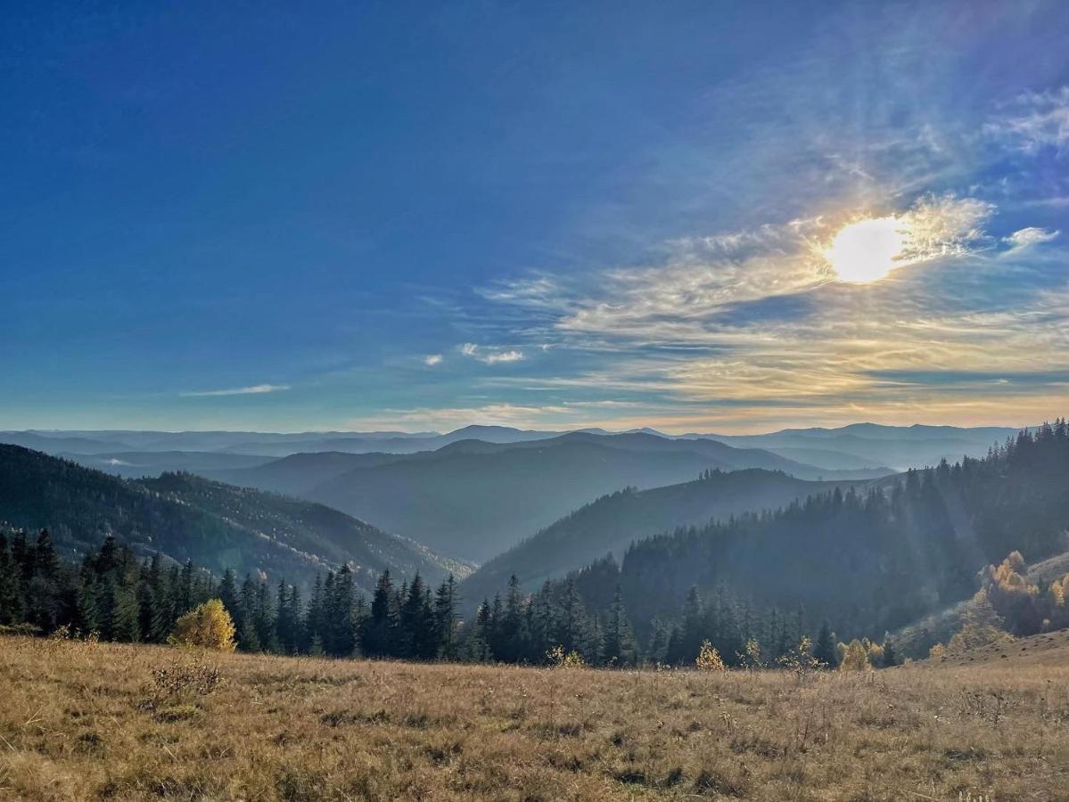 Villa M Mykulyčyn Exteriér fotografie